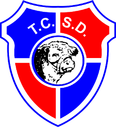 teamLogo